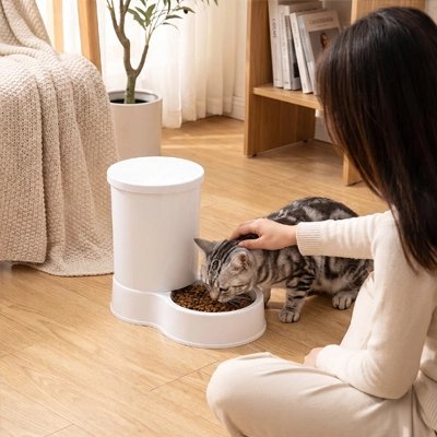 distributeur de croquettes pour chat blanc chat mangeant maitresse