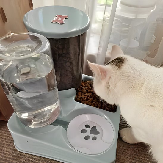 distributeur de croquettes pour chat bleu pastel avec chat mangeant