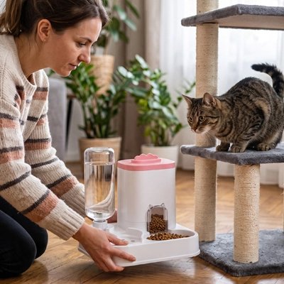 distributeur de croquettes pour chat rose maitresse chat salon