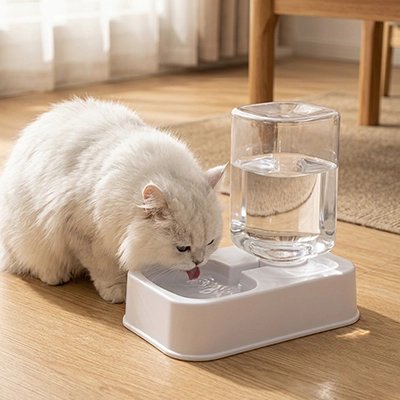 distributeur eau pour chat blanc chat buvant salon