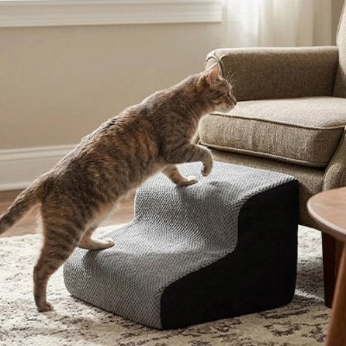 escalier pour chat bicolore deux marches chat montant