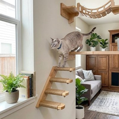 escalier pour chat bois naturel chat debout salon