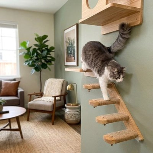 escalier pour chat bois naturel chat descendant salon