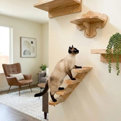 escalier pour chat bois naturel chat montant salon