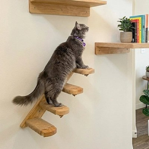 escalier pour chat bois naturel chat montant