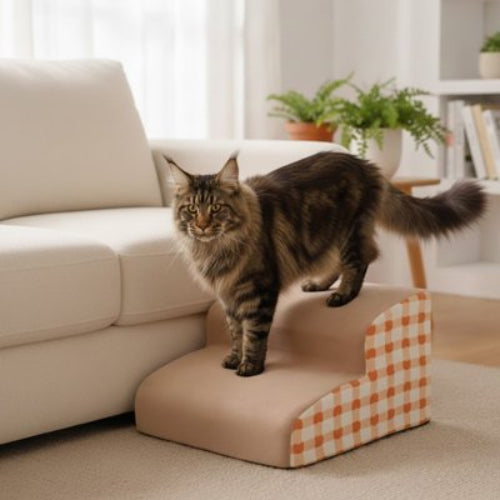escalier pour chat carreaux vichy orange deux marches canape