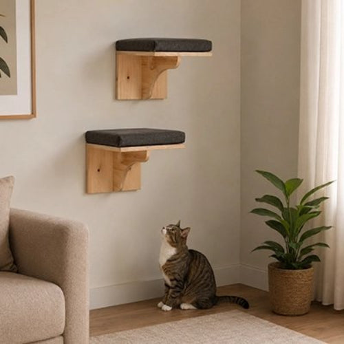 escalier pour chat etageres murales chat assis salon