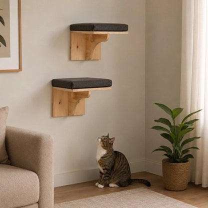 escalier pour chat etageres murales chat assis salon