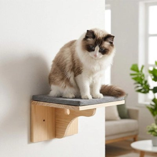 escalier pour chat etageres murales chat assis