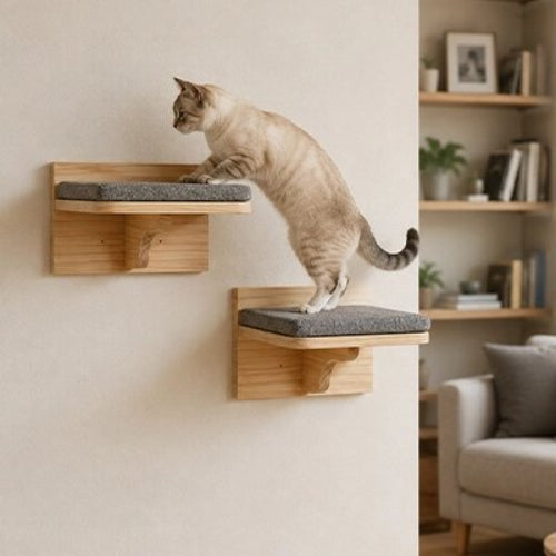 escalier pour chat etageres murales chat montant salon