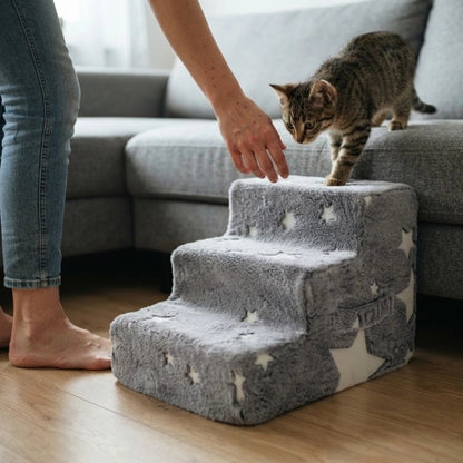escalier pour chat fluorescent motif etoiles chat descendant