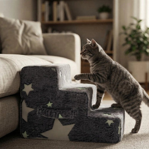 escalier pour chat fluorescent motif etoiles chat montant