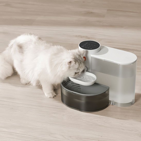 fontaine a eau chat automatique avec chat qui boit