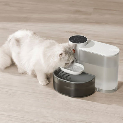 fontaine a eau chat automatique avec chat qui boit