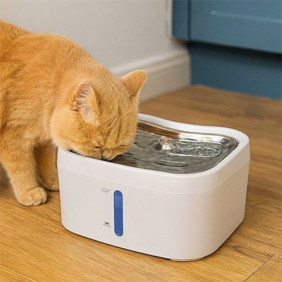 fontaine a eau chat avec chat qui boit
