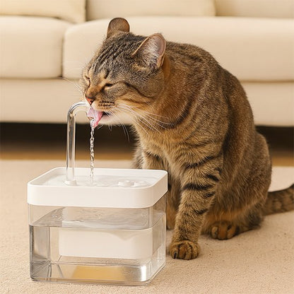 fontaine a eau chat​ blanche avec chat qui boit