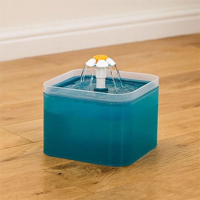 fontaine a eau chat couleur turquoise semi transparente