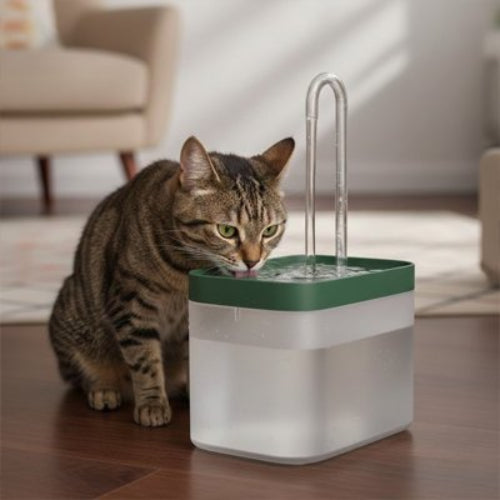 fontaine a eau chat couleur vert avec chat qui boit