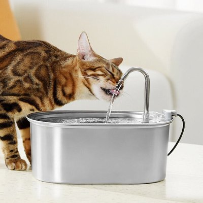 fontaine a eau chat en acier avec chat qui boit