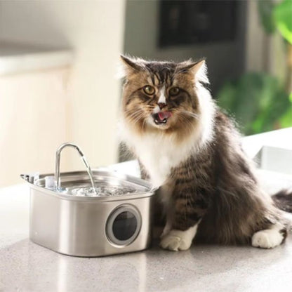 fontaine a eau chat en acier inoxydable avec chat heureux