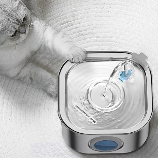 fontaine a eau chat en acier inoxydable avec chat