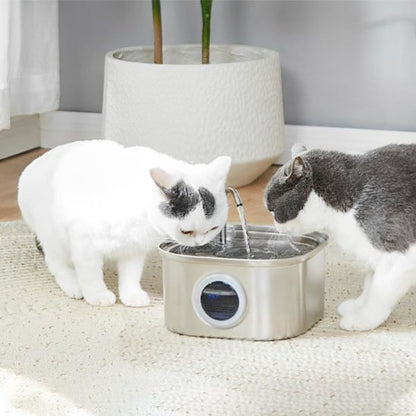fontaine a eau chat en acier inoxydable avec deux chats