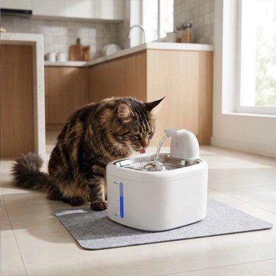 fontaine a eau chat moderne chat buvant cuisine