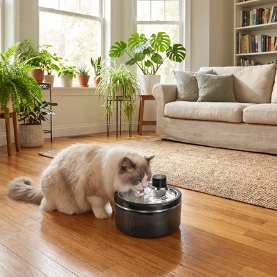 fontaine à eau chat sans fil​ design compact salon