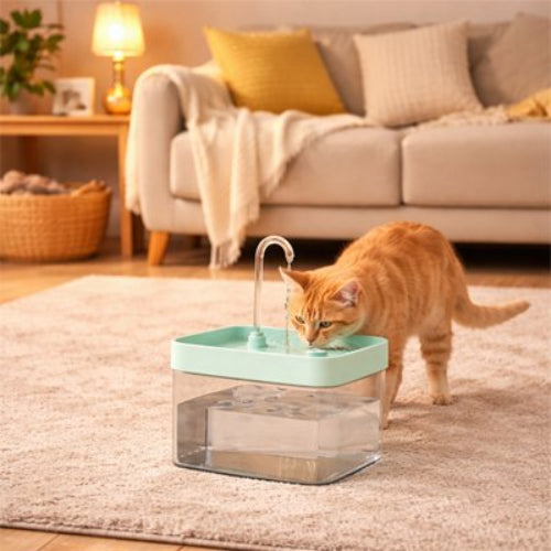 fontaine a eau chat vert clair avec chat dans salon