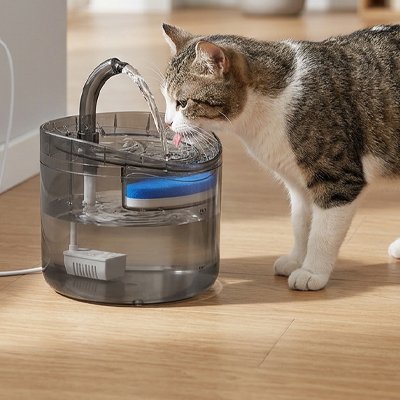 fontaine a eau pour chat circulaire avec chat dans salon