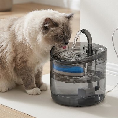 fontaine a eau pour chat circulaire avec chat qui boit