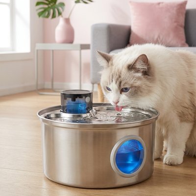 fontaine a eau pour chat en acier inoxydable avec chat 