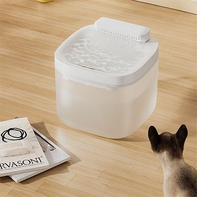 fontaine eau chat blanc translucide dans salon avec chat