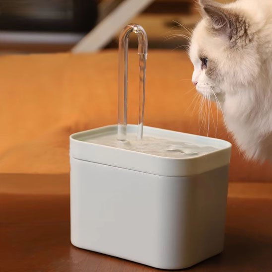 fontaine eau chat blanche avec chat