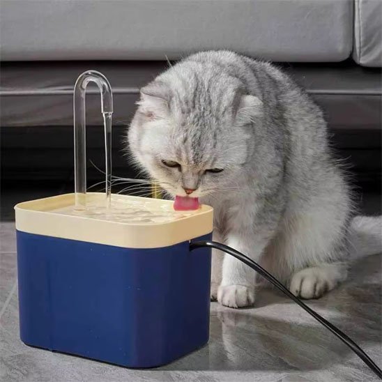 fontaine eau chat bleu marine avec chat qui boit