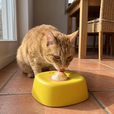 gamelle anti glouton chat jaune chat lechant cuisine