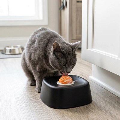 gamelle anti glouton chat noir chat lechant