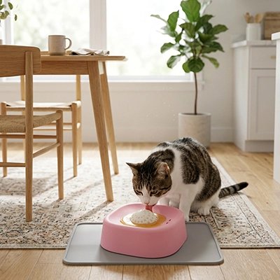 gamelle anti glouton chat rose salon chat lechant
