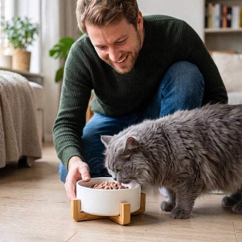 gamelle chat blanc support en bois maitre chat mangeant