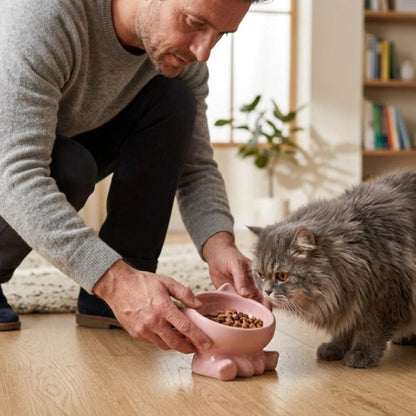 gamelle chat ceramique rose maitre chat debout salon