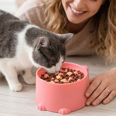 gamelle chat hauteur surelevee rose corail maitresse souriante
