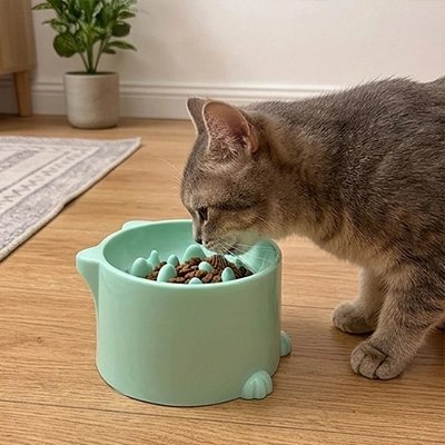 gamelle chat hauteur surelevee vert menthe chat mangeant