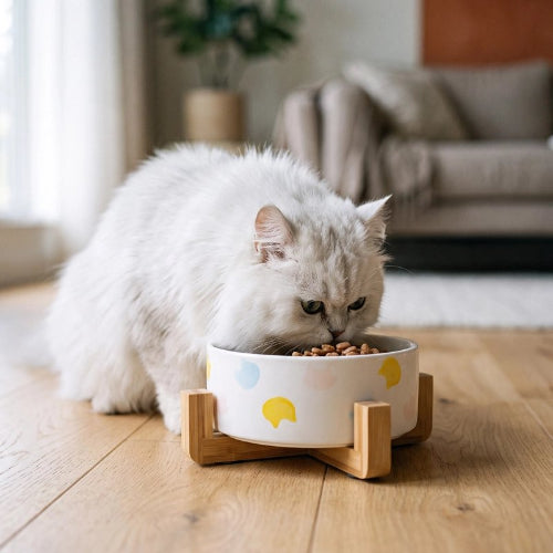 gamelle chat motifs tete de chat mangeant cuisine