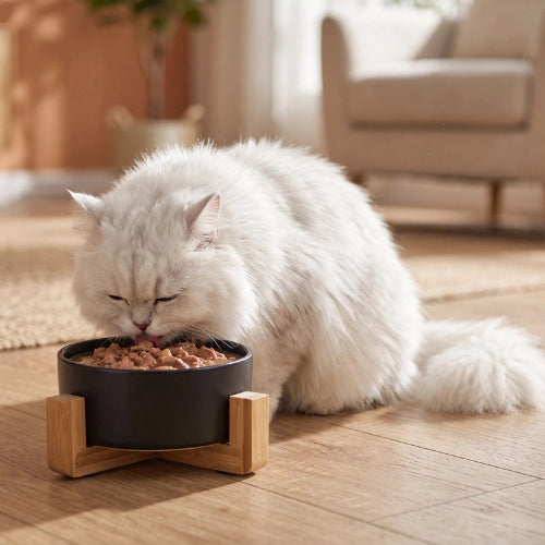 gamelle chat noir support en bois chat mangeant