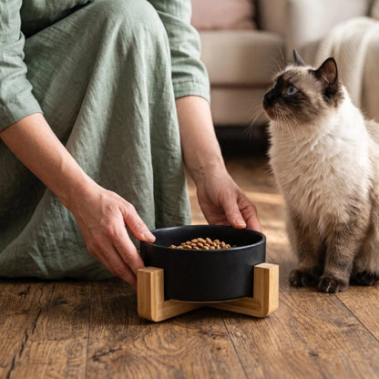 gamelle chat noir support en bois maitresse chat assis