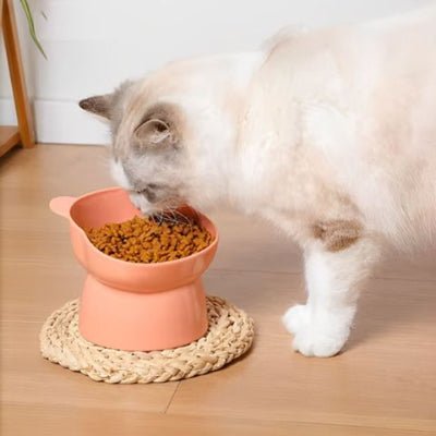 Gamelle chat surélevée | Anti - Étouffement - Mon Adorable Félin