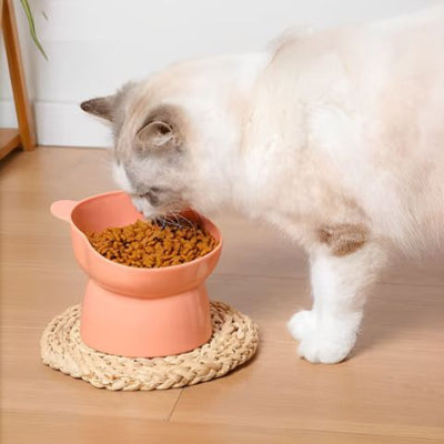 gamelle-chat-surélevée-anti-etouffement-rose
