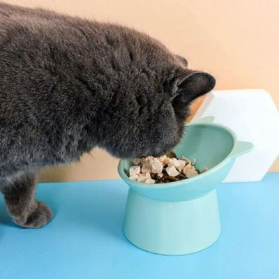 gamelle-chat-surélevée-anti-etouffement-vert