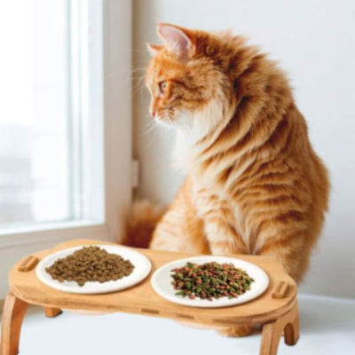 gamelle-chat-surélevée-bambou-elegante