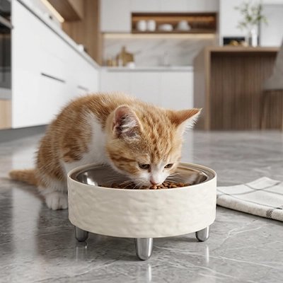 gamelle chat surélevée blanc inox amovible cuisine chat mangeant